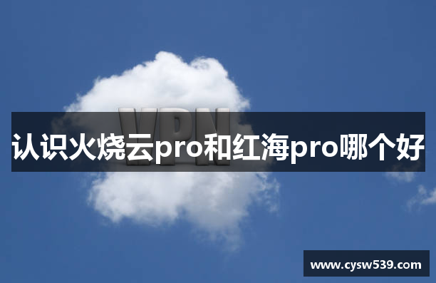 认识火烧云pro和红海pro哪个好